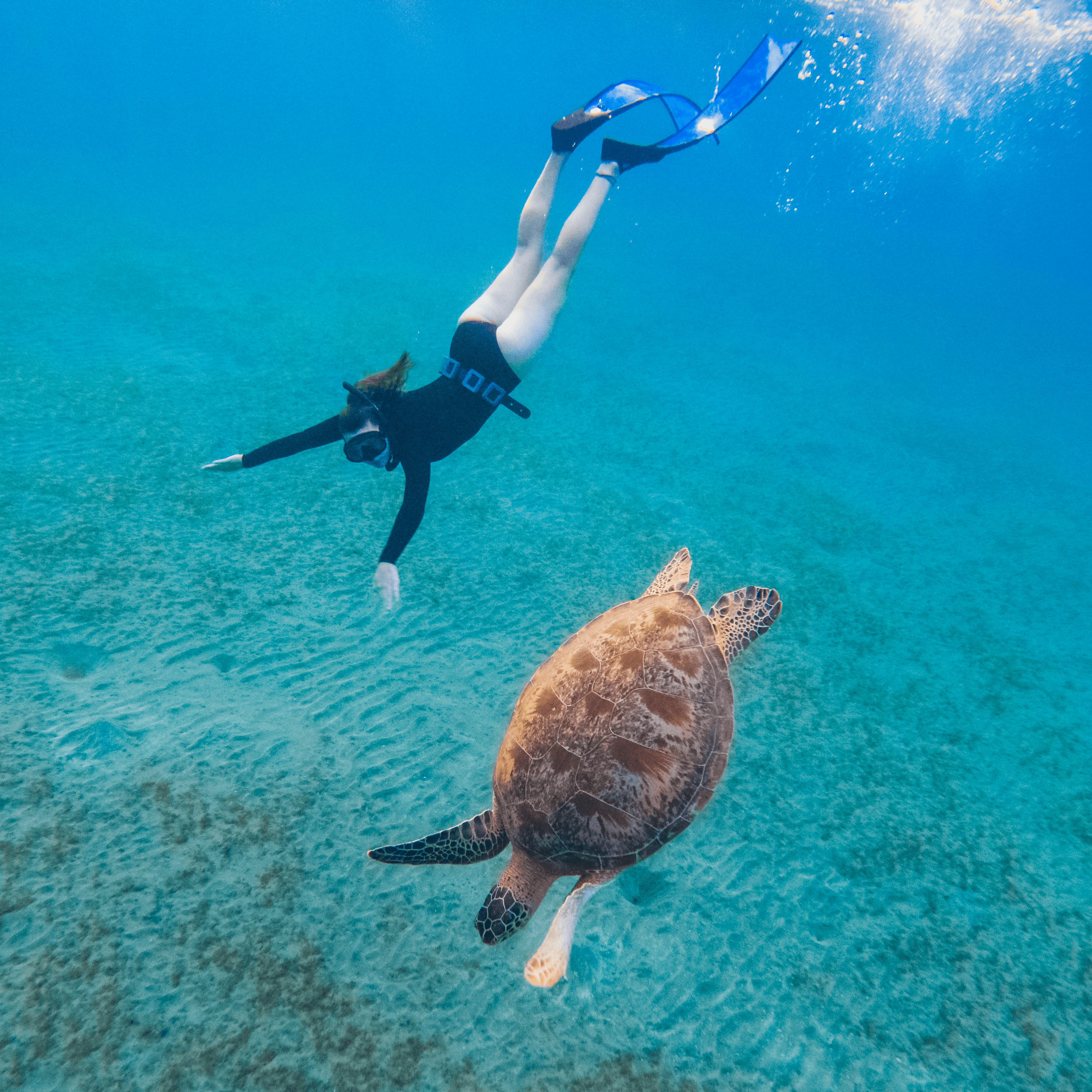 Advanced Freediver Course Plus Accommodation Package