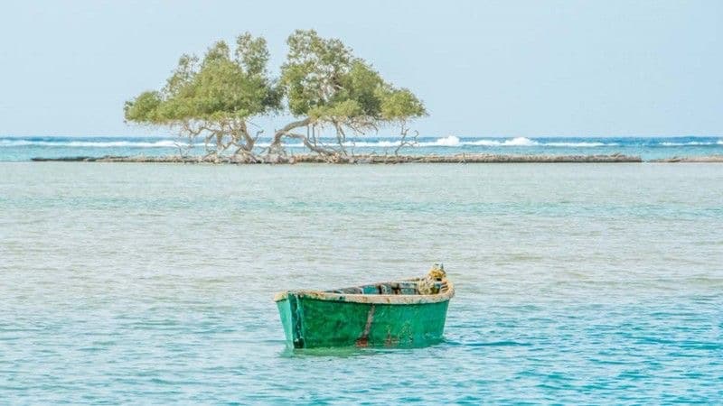Sharm El Luli 'Hanqurab', Nayzak & Qulaan Mangroves